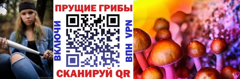 Псилоцибиновые грибы Psilocybe  кракен онион  Яхрома  дарнет шоп 